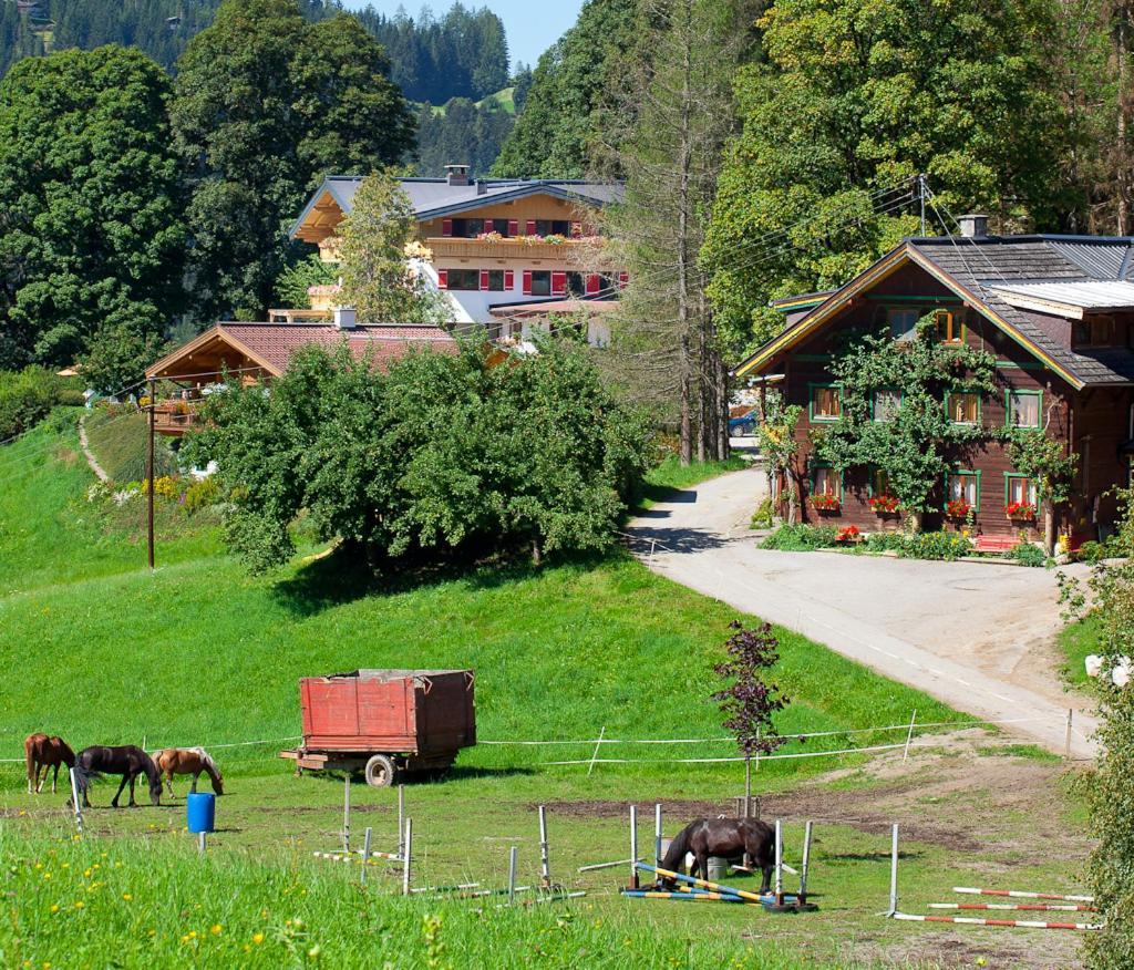 Готель Zauchtaler Hof Альтенмаркт-ім-Понгау Екстер'єр фото