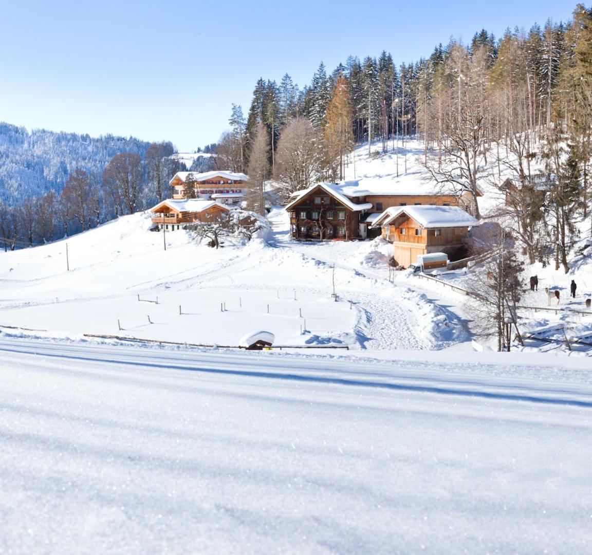 Готель Zauchtaler Hof Альтенмаркт-ім-Понгау Екстер'єр фото
